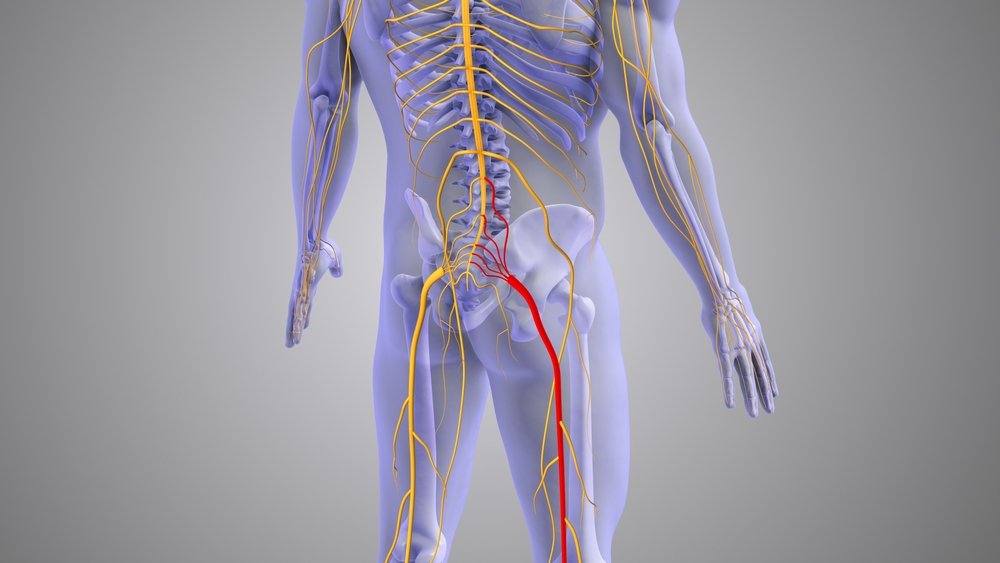 Sciatic,Nerve,Pain,Medical,Concept,3d,Illustration sciatica treatment - golfers - casteel chiropractic of tyrone